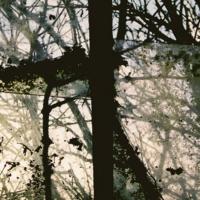 Crumbling Spires / The Great Dominions